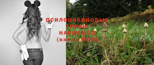мескалин Белокуриха