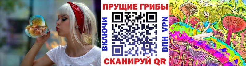Псилоцибиновые грибы Psilocybe  Купить закладки  Морозовск 